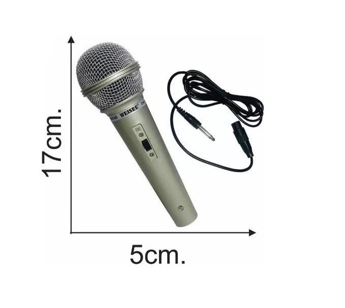 Microphone Silver Clear Voice Microphone - Pz Product Store