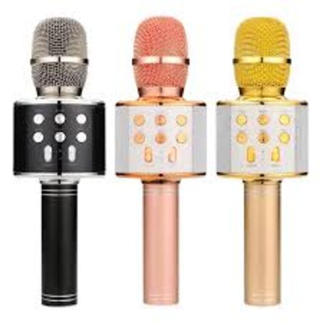 WS-858 Handed Ktv Premium Wireless Mic With Speaker With Long Lasting Battery - Pack Of 1 - Pz Product Store